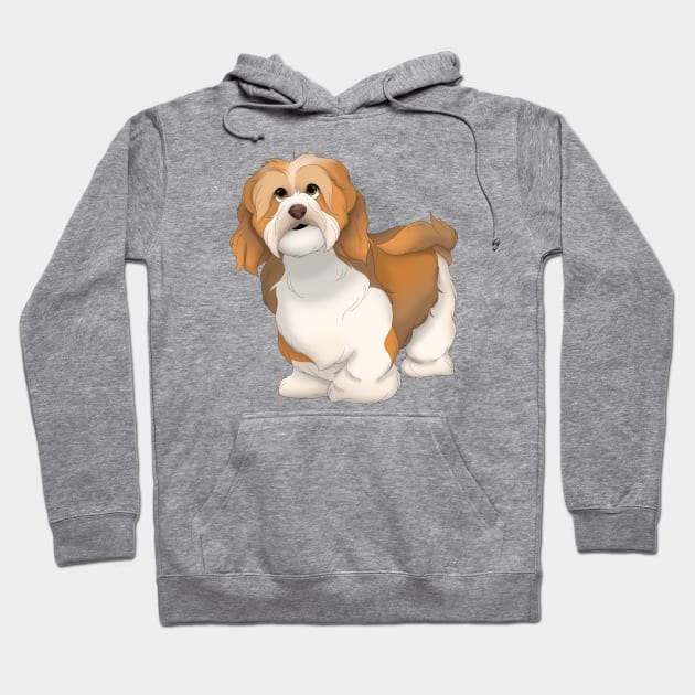 Havanese Dog Color 3 Hoodie by millersye